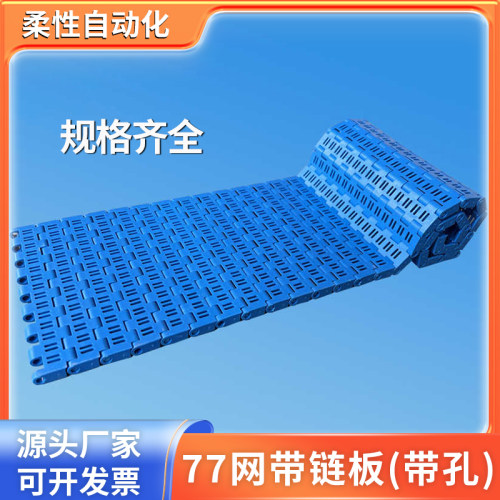 塑料链板输送机塑料网带输送带19.3节距流水线输送带77/80/154网