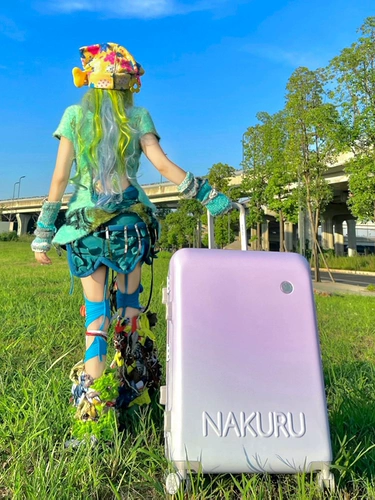 NAKURU Универсальный высококачественный чемодан на колесиках, 24 дюймов