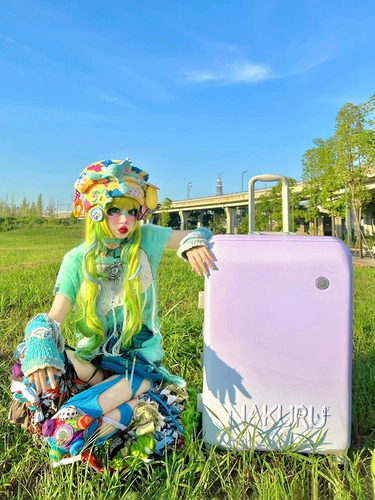 NAKURU Универсальный высококачественный чемодан на колесиках, 24 дюймов