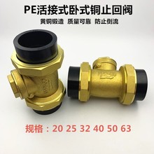 PE黄铜卧式止回阀单向阀ppr63水管4分6分1寸水表DN20/25热熔管件