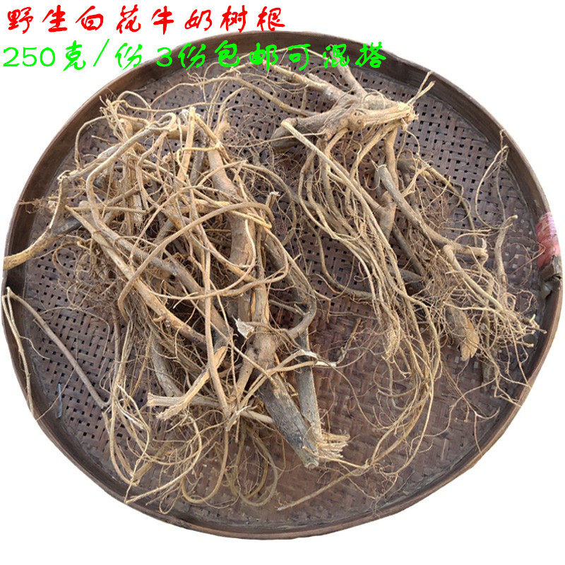 梅州客家 白花 牛奶树根  蕉岭兴宁五华大埔平远 牛乳树茎 250克