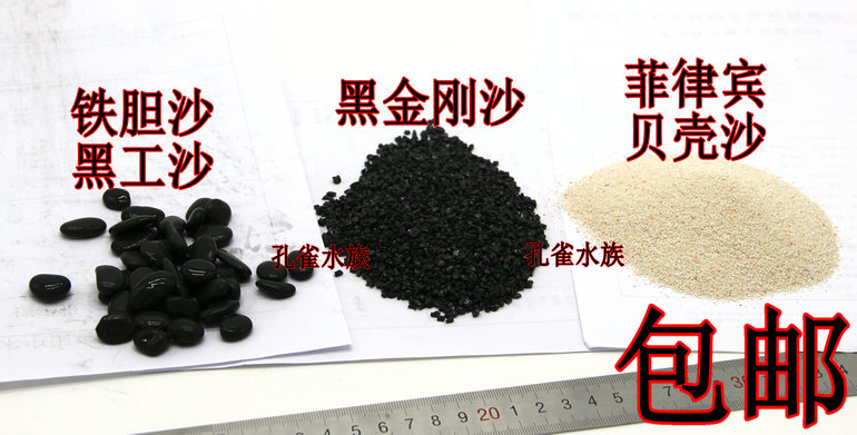 菲律宾黑金刚海沙贝壳底砂造景