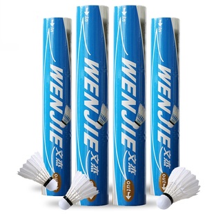 正品WENJIE(北京总代)文杰耐打一号羽毛球实惠初学专业教练训练球