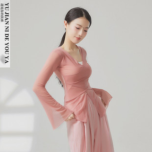 绝美粉色喇叭袖中国舞古典舞蹈服装练功服演出服上衣女飘逸网纱衣