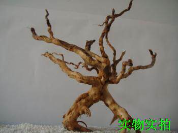 水族箱鱼缸造景草缸 爬虫箱 天然沉木杜鹃根实物 树形 处理好发货