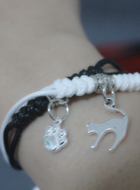 二哈墨燃师尊楚晚宁和他的白猫