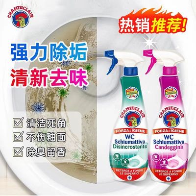 原装进口正品亮白除臭去尿垢马桶清洁剂喷雾强力去污625ml去异味