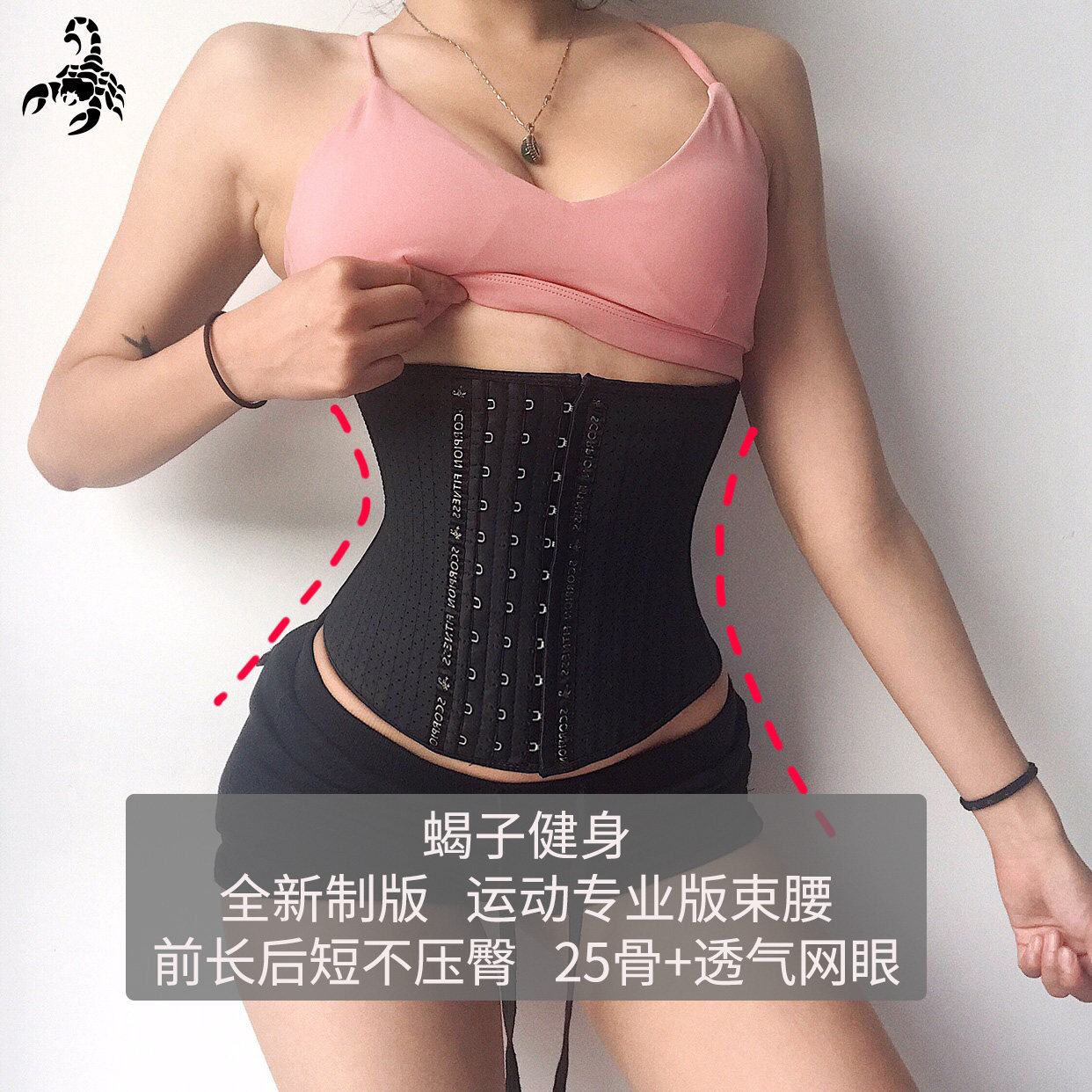 Scorpion Bodybuilding new pattern major Bodybuilding motion Girdles 25 Eyes Girdle Abdominal bandin the Lingerie/Men's underwear/Tracksuit , Body sculpting girdle/Belt clip  category - from Buy2taobao.com to provide professional Taobao agent buy service