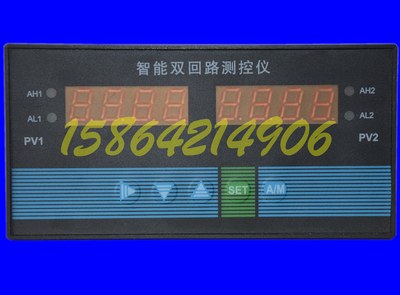 TS823双回路测控仪 压力/温度/液位测控仪D823 TC823双光柱测控仪
