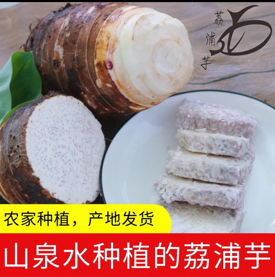 广西正宗荔浦芋头新鲜农家自种