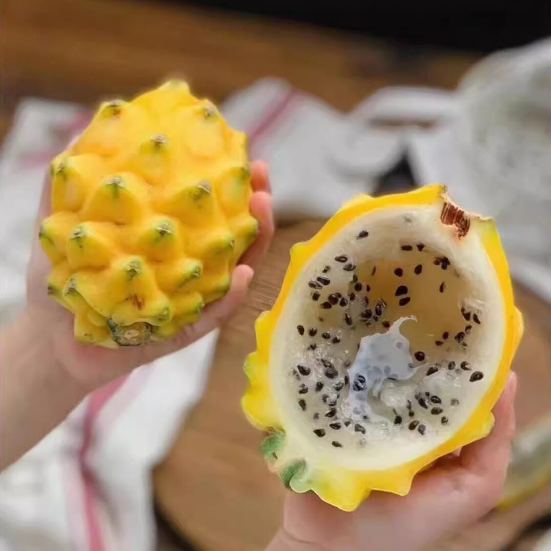 麒麟果新鲜燕窝果黄色火龙果黄心高端水果1箱大果顺丰厄瓜多尔