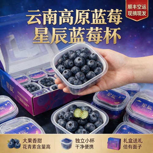 云南当季花香蓝莓礼盒
