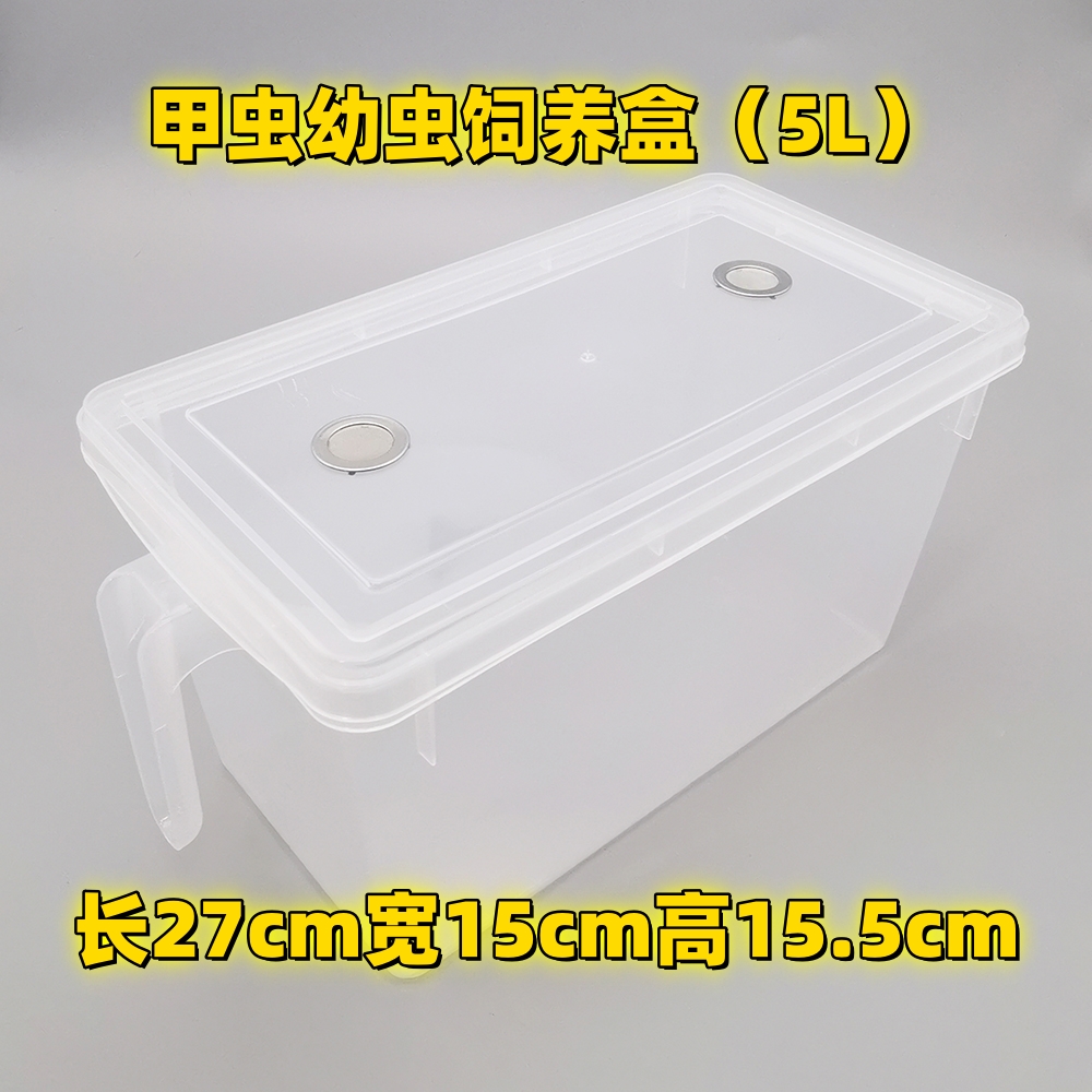 长戟大兜虫南洋幼虫透气饲养盒