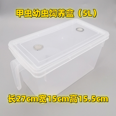 长戟大兜虫南洋幼虫透气饲养盒