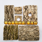 甲虫树皮果冻台宠物独角仙果冻台攀爬树皮两用锹甲长戟大兜虫食台