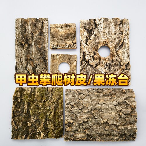 甲虫果冻台攀爬树皮防猝死可定制