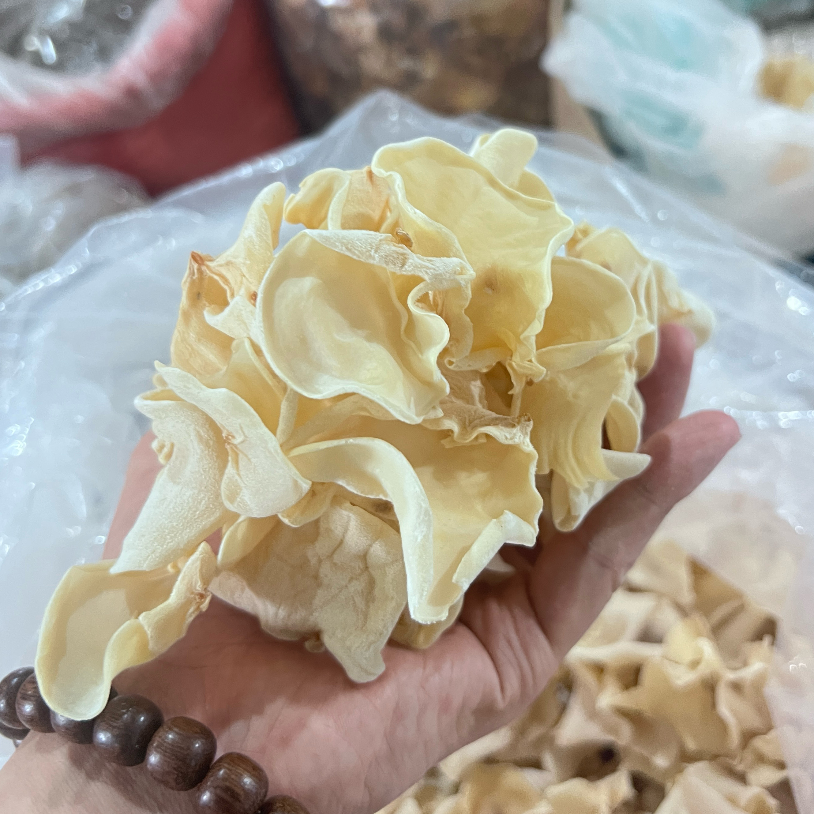 武夷山特产白玉耳食用菌福建竹耳黑木耳