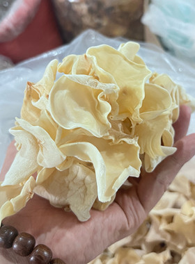 武夷山特产白玉耳食用菌福建竹耳竹子菇白玉木耳农家自晒干货