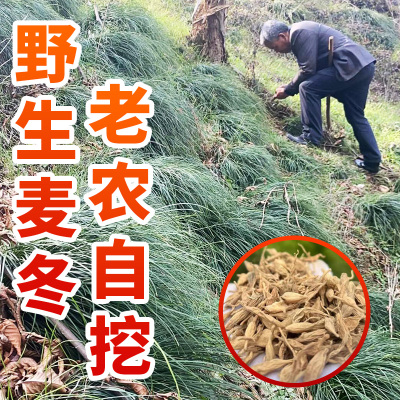 【老农自挖】深山野生麦冬干货