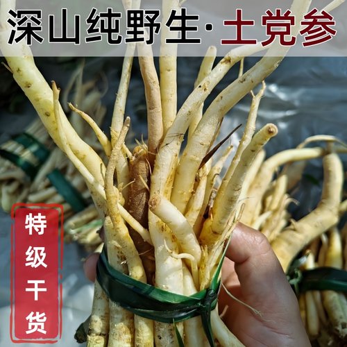 【野生土党参】【南方土人参】