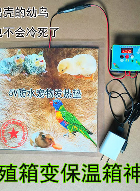 鹦鹉繁殖箱控制温度保温加热发热垫鸟窝加温鸟保暖过冬温度控制器