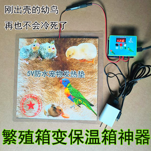 鹦鹉繁殖箱控制温度保温加热发热垫鸟窝加温鸟保暖过冬温度控制器