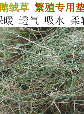鹦鹉繁殖箱天鹅绒干草取代繁殖木屑保温刨花鸟用鸟自己筑鸟窝材料