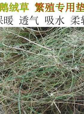 海升快活林鹦鹉繁殖箱垫才