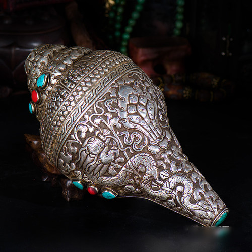 左旋天然海螺尼泊尔白海螺