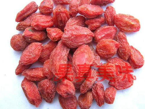 新疆精河枸杞子特级超250g绿色