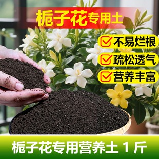 栀子花专用土料种植盆栽花树苗花肥土复合营养土种植肥花卉土家用