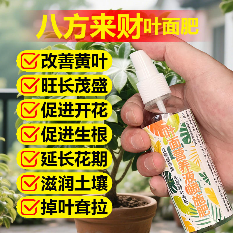 八方来财专用肥料盆栽鸭掌木营养液叶子枯黄掉叶叶斑发黑打蔫耷拉
