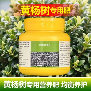黄杨树苗肥料花肥专用肥营养液瓜子黄杨木养料化肥复合有机肥老桩
