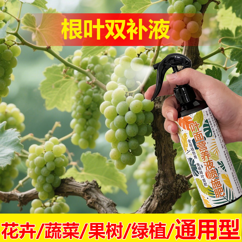 植物专用肥料盆栽金虎金冠绯花玉仙人球多肉植物营养液叶面肥料