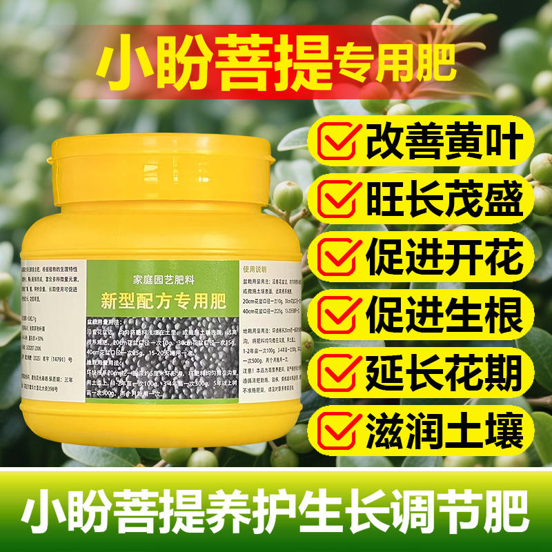 菩提树营养液小盼菩提专用肥菩提肥料盆栽小叶泥植物水培带果小泮