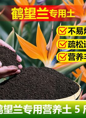 鹤望兰专用土料盆栽植物营养土变绿长高展叶子长个天堂鸟绿植家用