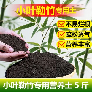 小叶勒竹专用土料生桩花盆景簕竹子专用土养护营养土喷剂种植家用