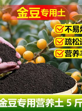 金豆专用土料盆景植物下山树桩老桩盆栽营养土开花结果长新芽家用