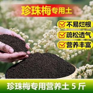 珍珠梅专用土料老桩花苗珍珠梅树小苗盆景营养土种植肥花卉土家用