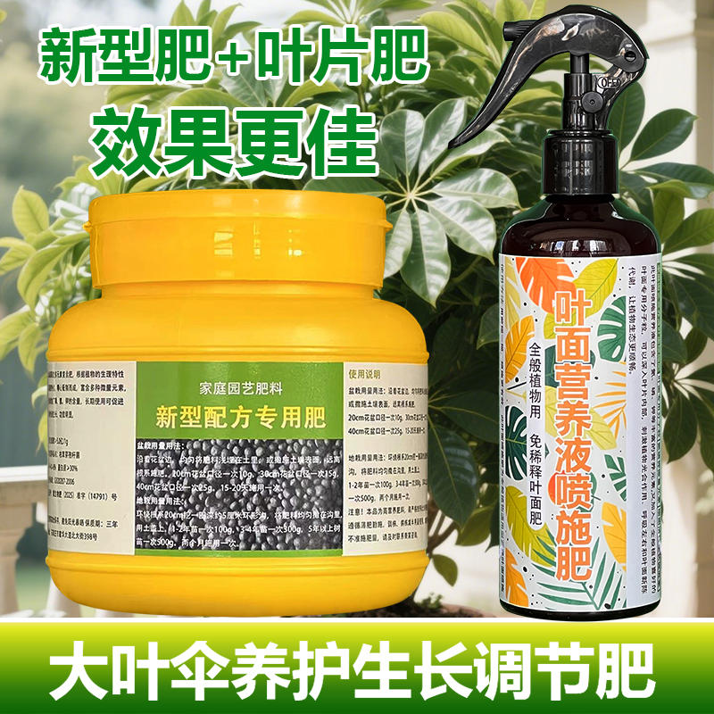 大叶伞专用肥料花盆栽绿植物大叶伞树专用土壤花肥营养液叶面肥料