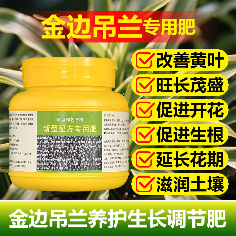 金边吊兰专用肥料土壤盆栽种球水培开花营养液金边吊兰花叶面肥料