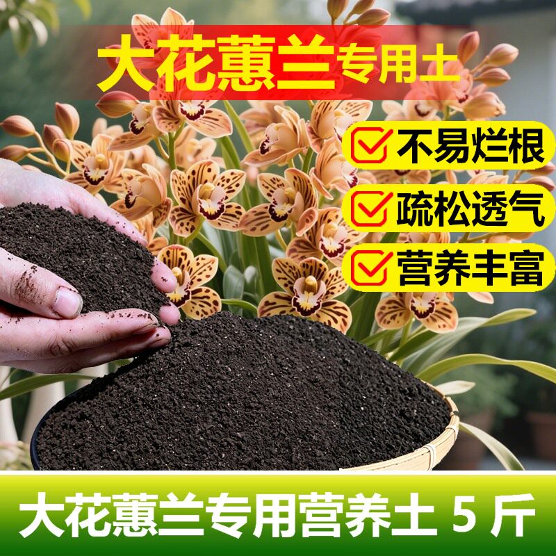 大花蕙兰专用土料盆栽兰花营养土叶子发黄干枯尖枯烂根养护花家用 - 实物图