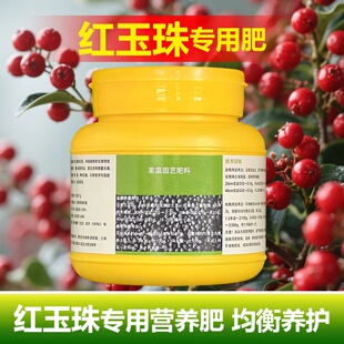 红玉珠专用肥料盆栽绿植营养液旺长爆盆保果茂盛促进结果叶面肥料