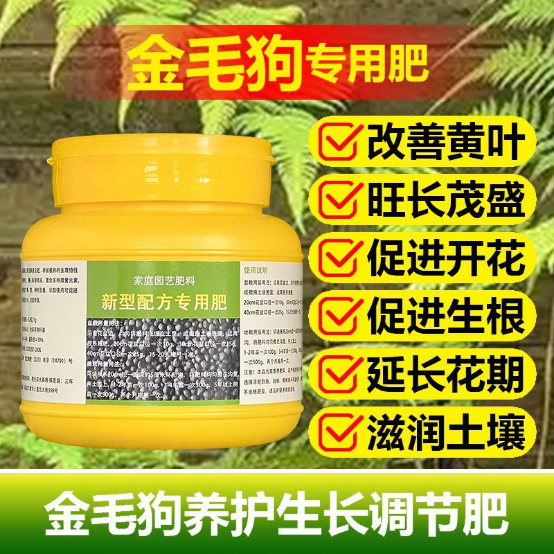 金毛狗蕨专用肥营养液土水培养殖干焦叶焦边枯萎发黑卷曲叶面肥料