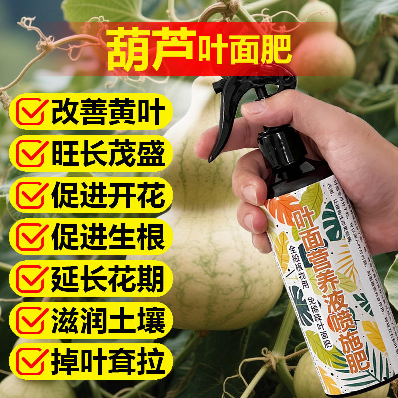 罗汉竹专用肥料盆栽葫芦竹观赏竹佛肚竹子营养液阳台盆景植物肥料