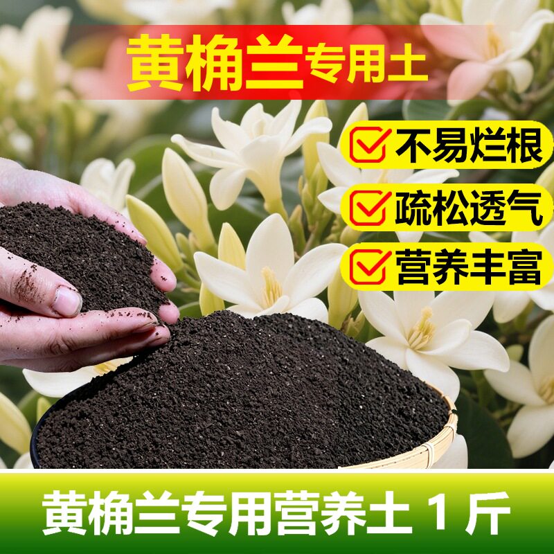 黄桷兰专用土料养殖黄桷兰花大树苗白兰花肥专用土营养土种植家用