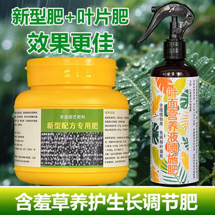含羞草專用肥料盆景盆栽水培土培營養(yǎng)液葉面肥有機(jī)肥水溶化肥肥料