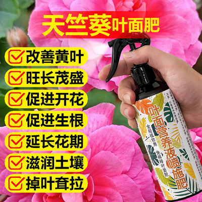 天竺葵专用肥料花肥盆栽土壤营养液焦黄打卷锈斑发蔫干枯叶面肥料