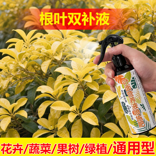 植物专用肥料山竹果树营养液喷剂有机肥盆栽种植专用土叶面肥料