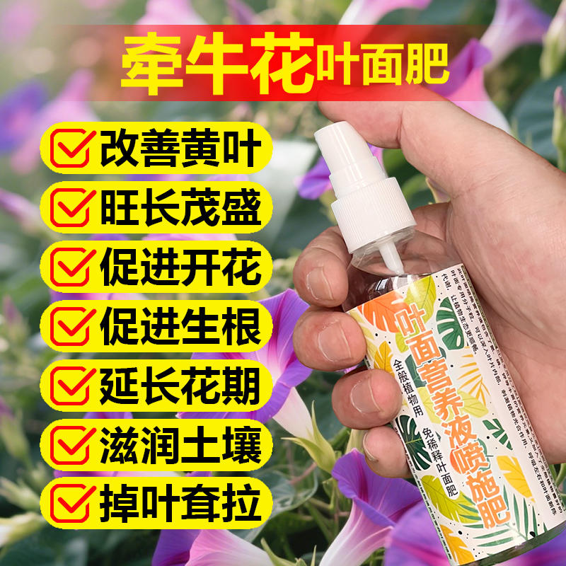 牵牛花爬藤植物专用肥料花苗发芽营养液盆栽地栽喇叭花开花肥肥料